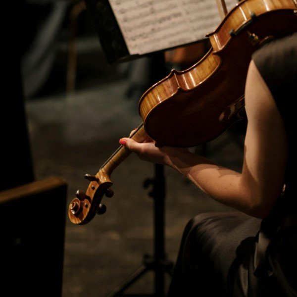 Viola Student back reading music sheet